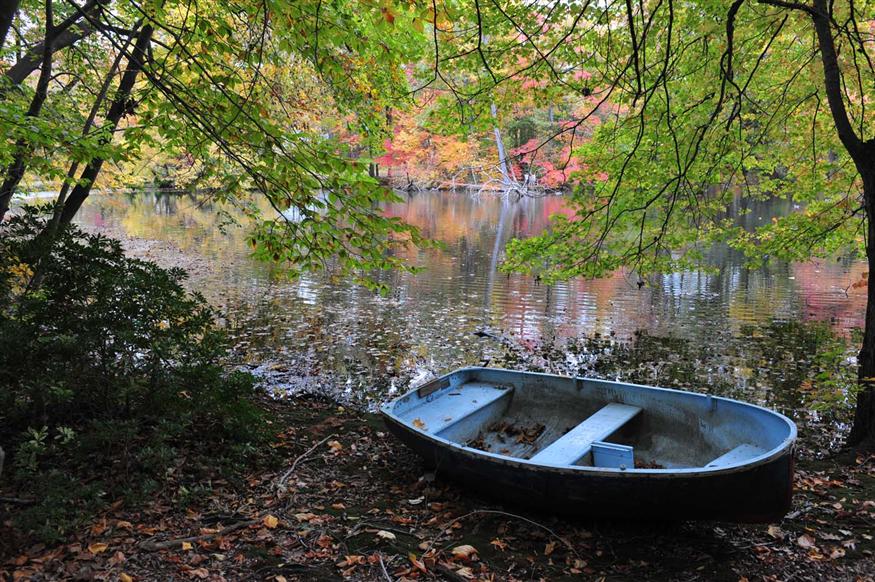 Old Boat