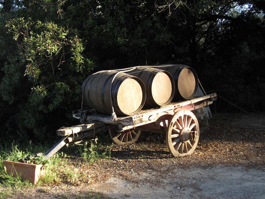 Wine Barrels in Italy