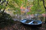 Old Boat